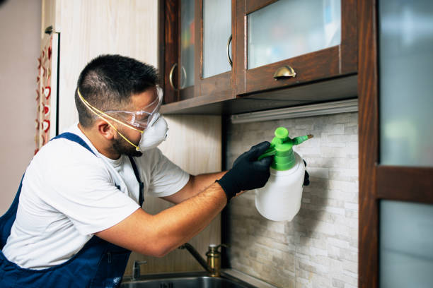 Best Flea Control Services  in Elmer, NJ