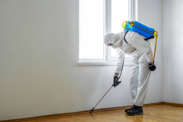 Best Pest Inspection Near Me  in Elmer, NJ