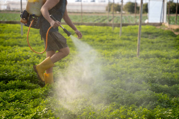 Best Best Pest Control Companies  in Elmer, NJ