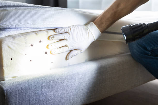 Best Pest Control for Restaurants  in Elmer, NJ